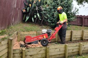 Stump grinding in Auckland
